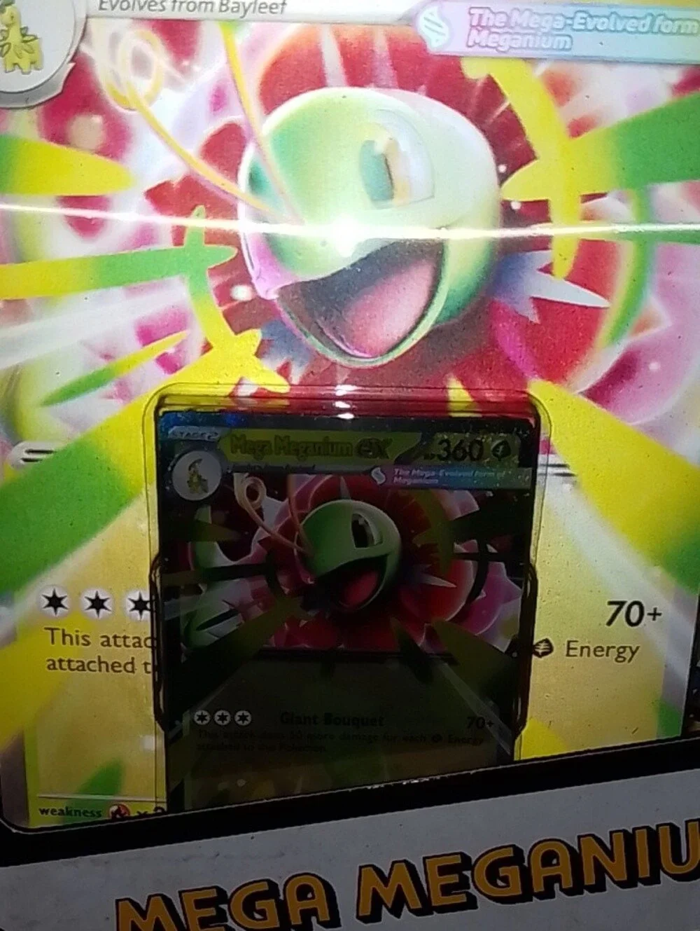 New Pokemon Meganium ex Box - Green